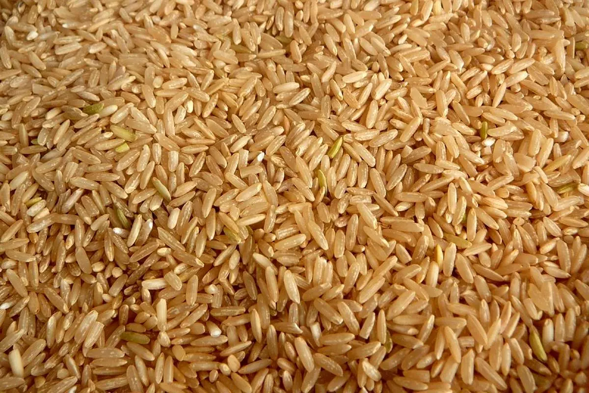 برنج سفید یا قهوهای؟ کدام بهتر است؟