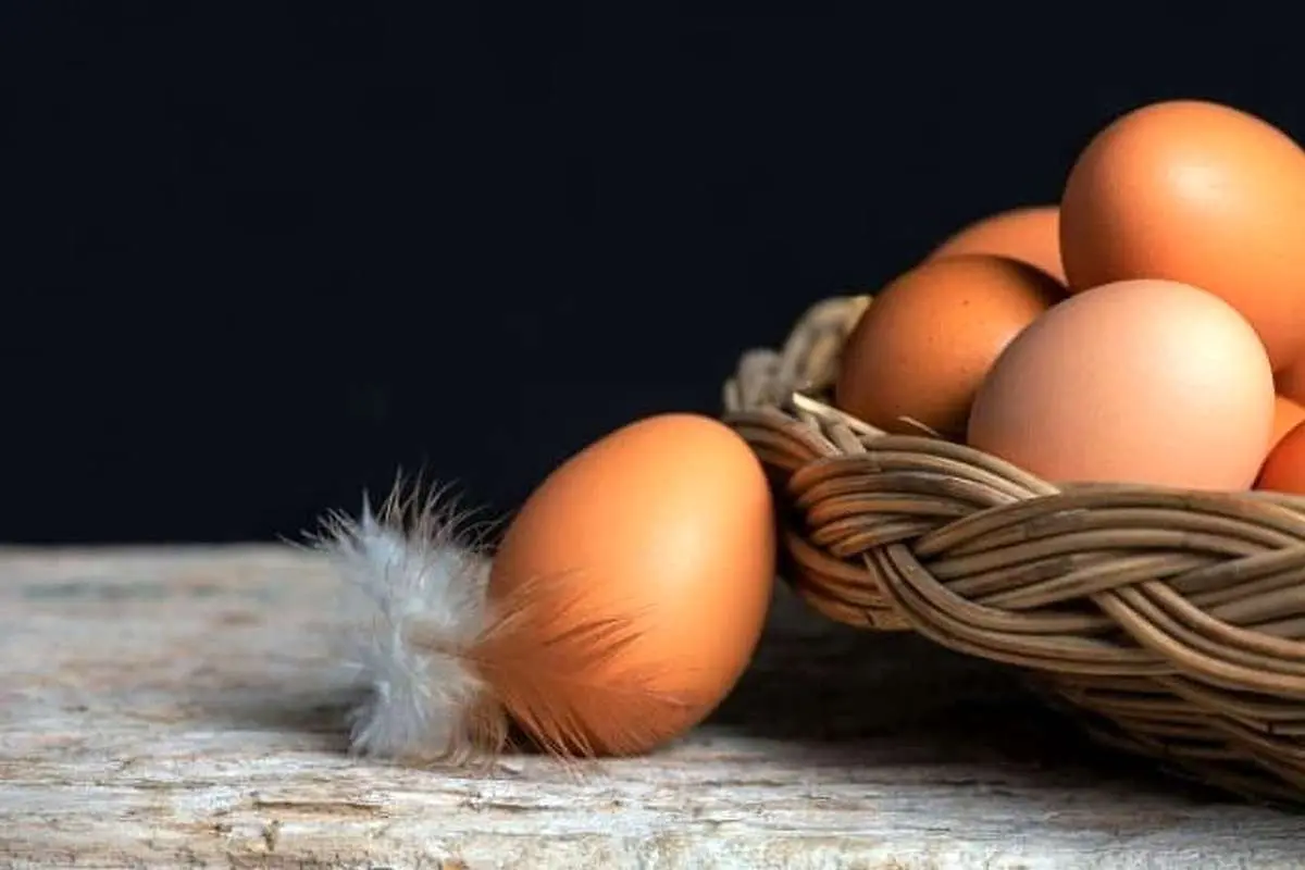 تخممرغ یک سوپر غذاست؛ اگر باور نمیکنید، بخوانید!