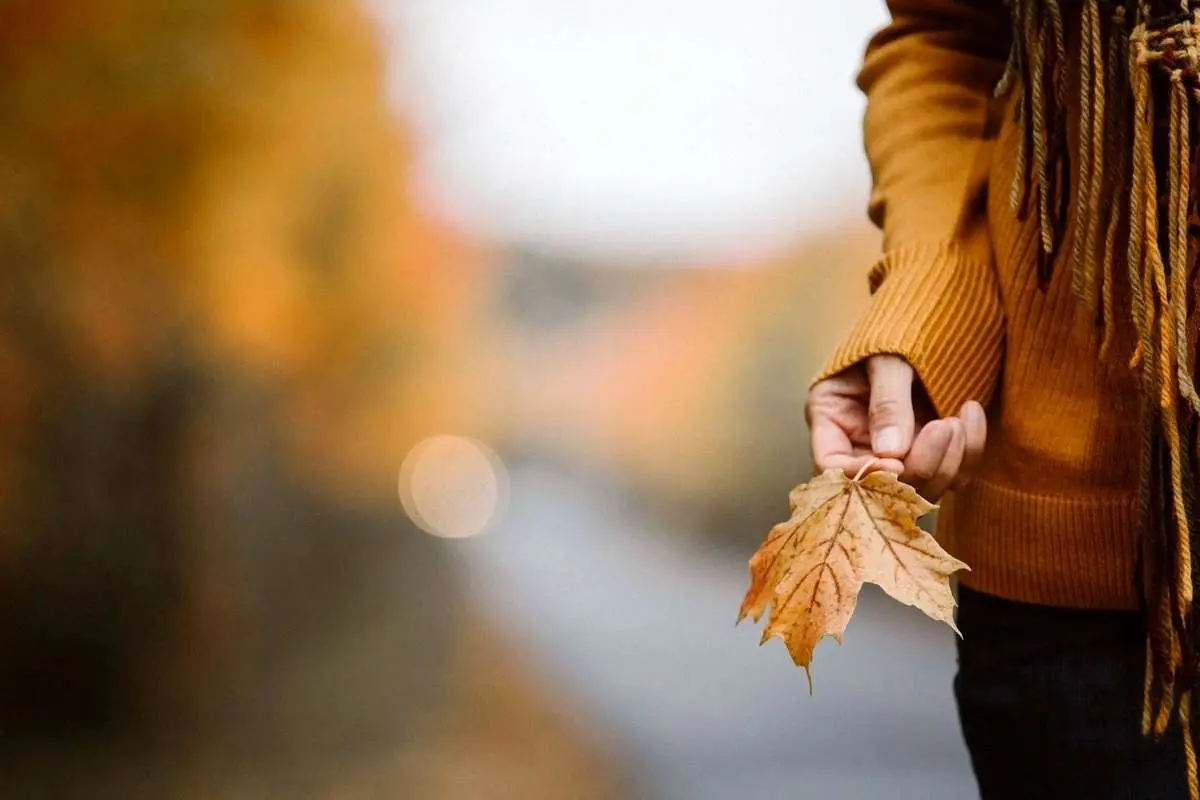 تفال به حافظ یکشنبه ۸ مهر ۱۴۰۳؛ بیا با ما مورز این کینه داری....