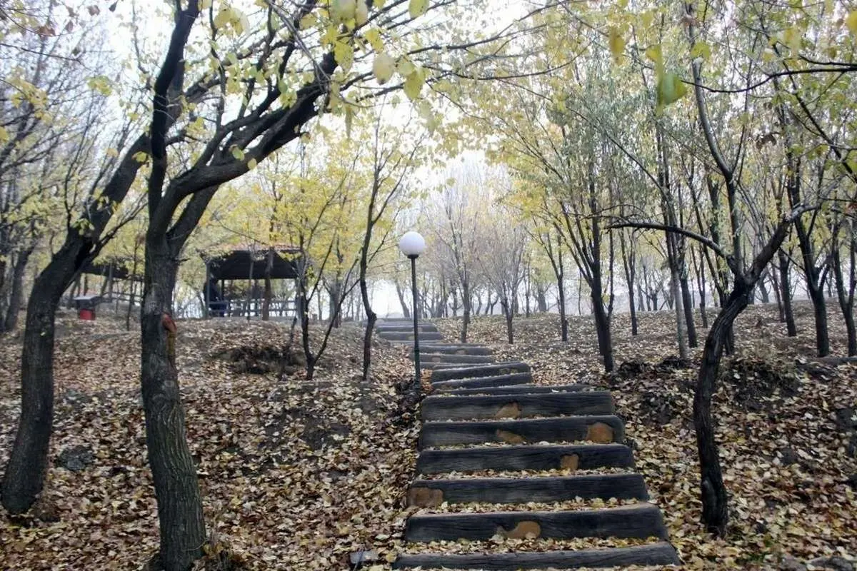 (تصاویر) پارک جنگلی مره خونی سردرود