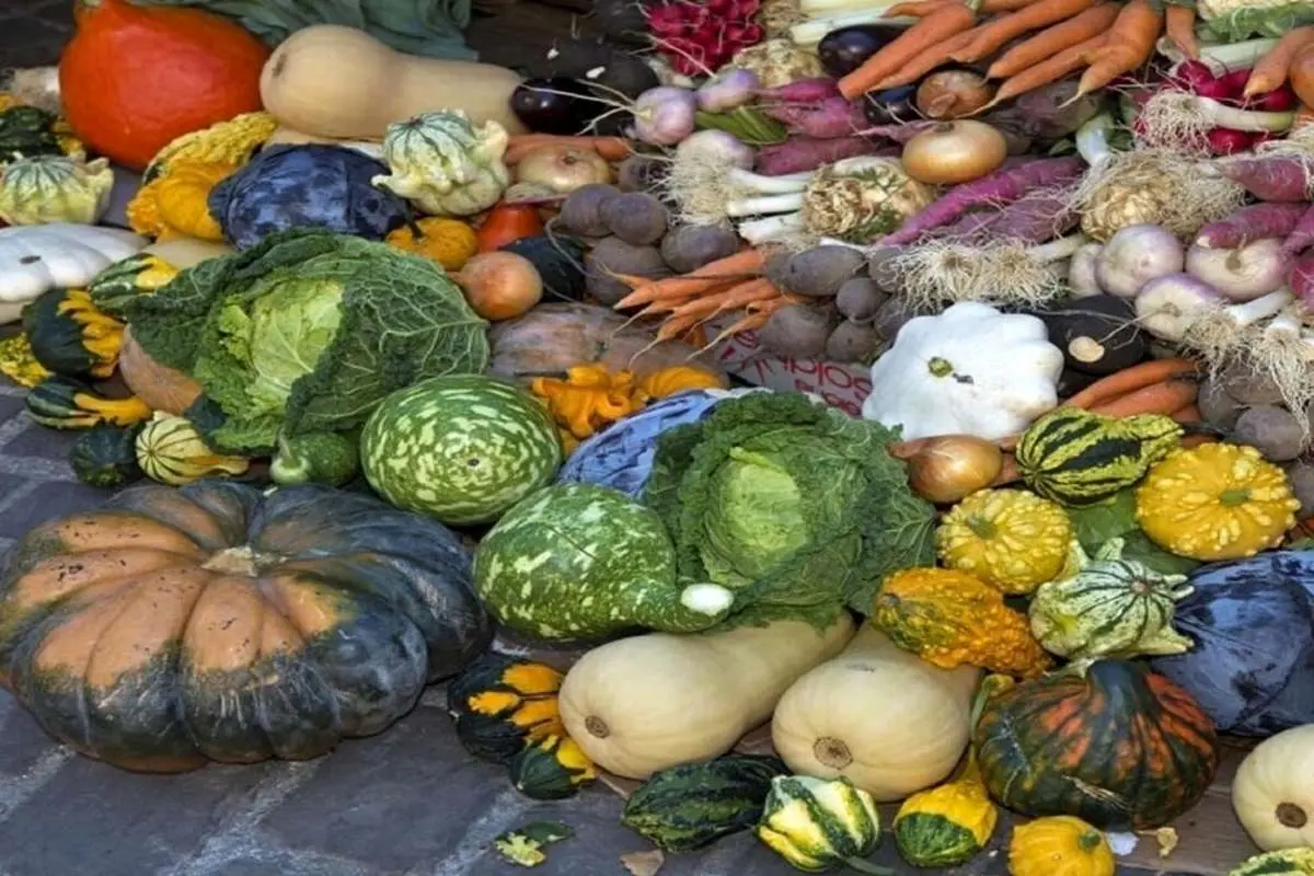 خوراکی‌هایی برای محافظت برابر ویروس‌ها در پاییز