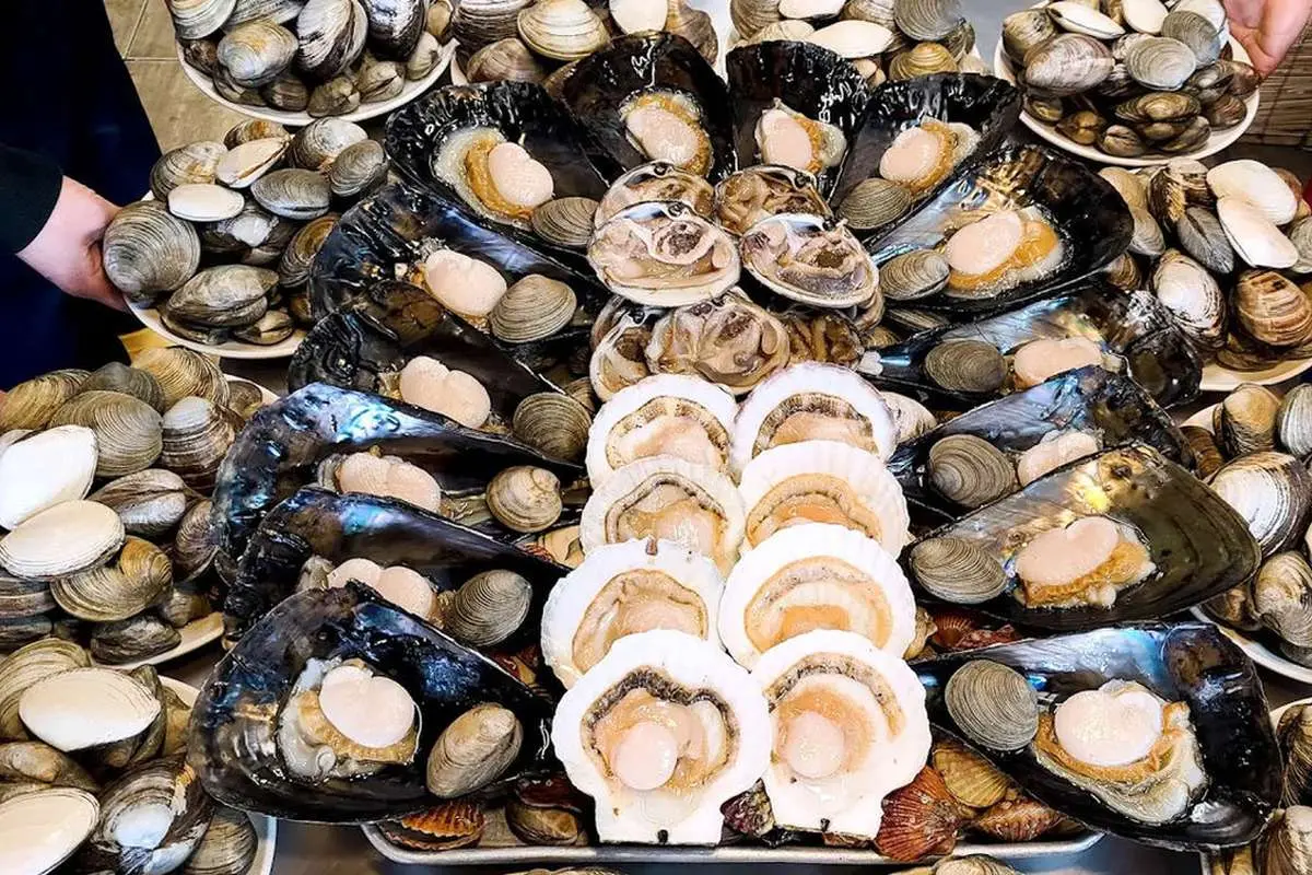 (ویدئو) غذای خیابانی در کره؛ صدف کبابی، ماهی کبابی و کباب گوشت گاو در سئول