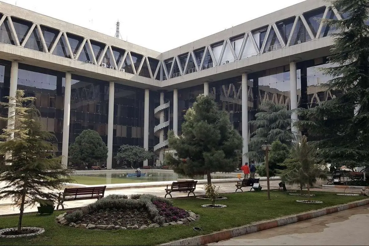 (ویدیو) مجریان صداوسیما خروس جنگی شدند!