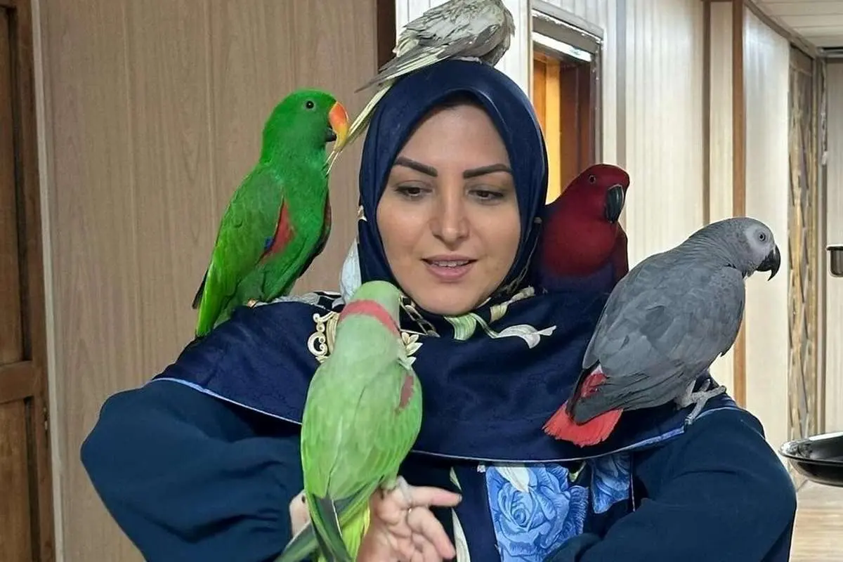 (عکس) طوطی بازی المیرا شریفی مقدم