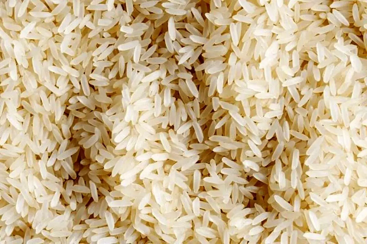 ادامه چالشها بر سر واردات برنج؛ در بازار چه میگذرد؟