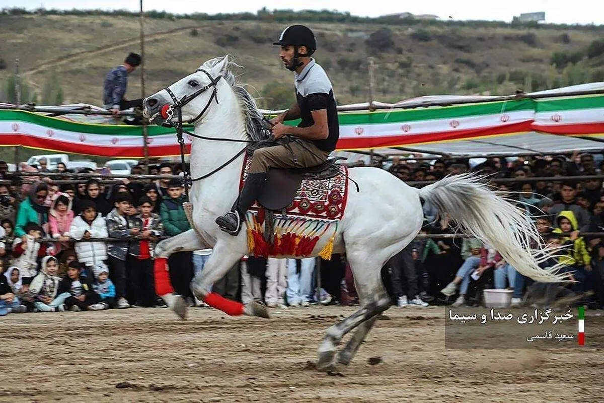 (تصاویر) جشنواره شو سواره و نمایش اسبهای اصیل