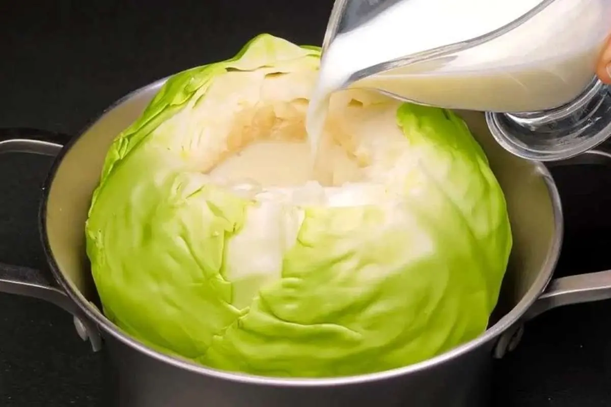 (ویدئو) دستور پخت یک غذای متفاوت آلمانی با کلم و شیر