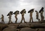 تصاویر؛ وقتی فضولات پرندگان دریایی عامل شکوفایی اقتصادی می‌شود!