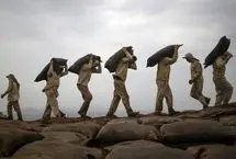 تصاویر؛ وقتی فضولات پرندگان دریایی عامل شکوفایی اقتصادی می‌شود!