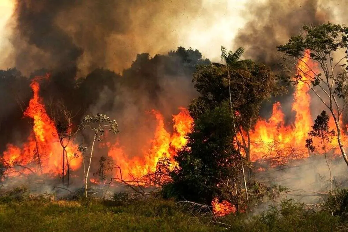 آتش‌سوزی گسترده در جنگل‌های لرستان (ویدئو)