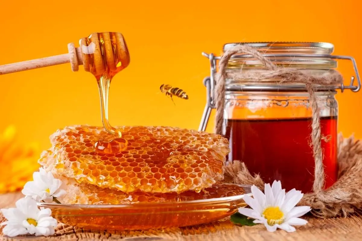 (ویدئو) خوردن یک کیلوگرم عسل در ۳۰ ثانیه