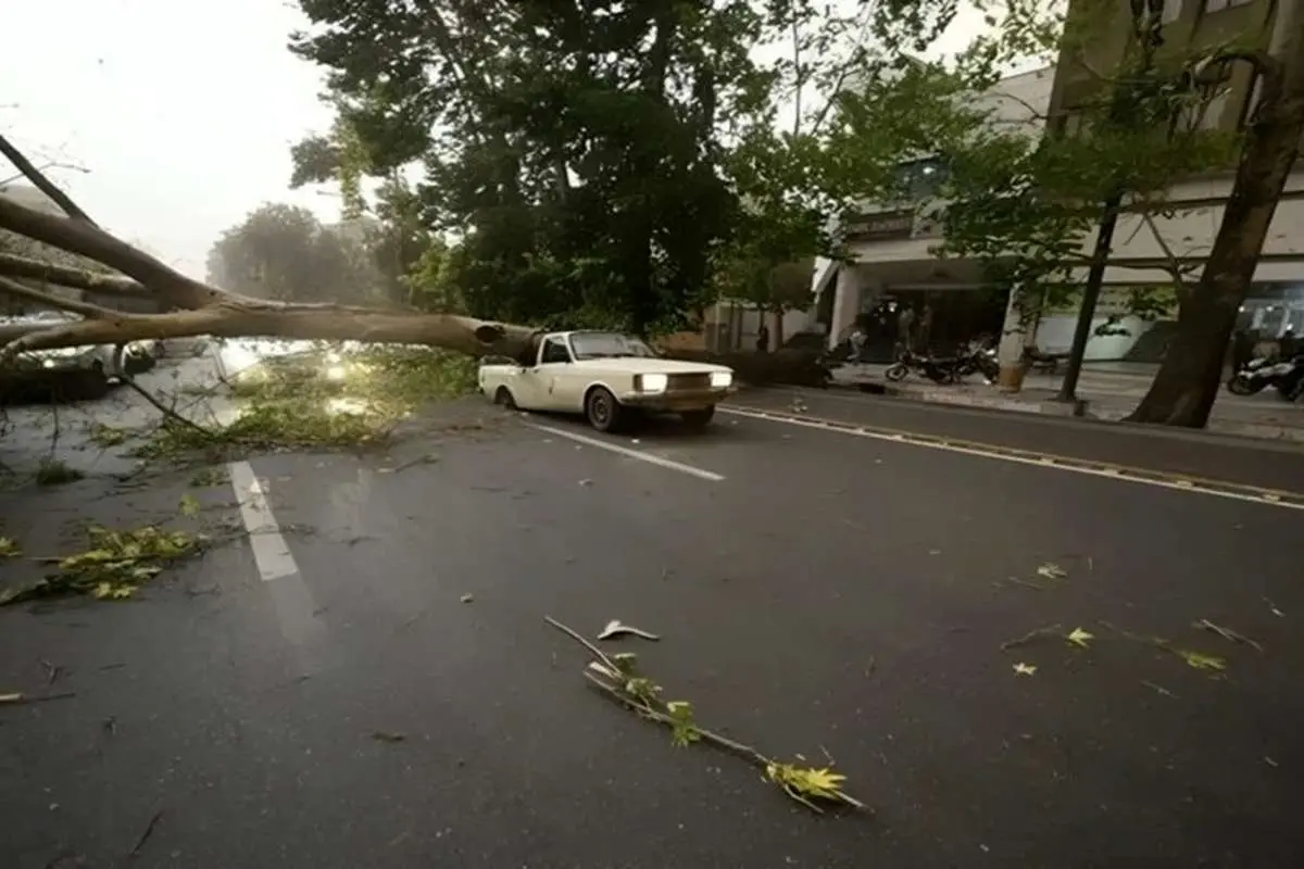 سقوط درخت روی ماشین‌ها در پی تندباد امشب تهران (ویدئو)