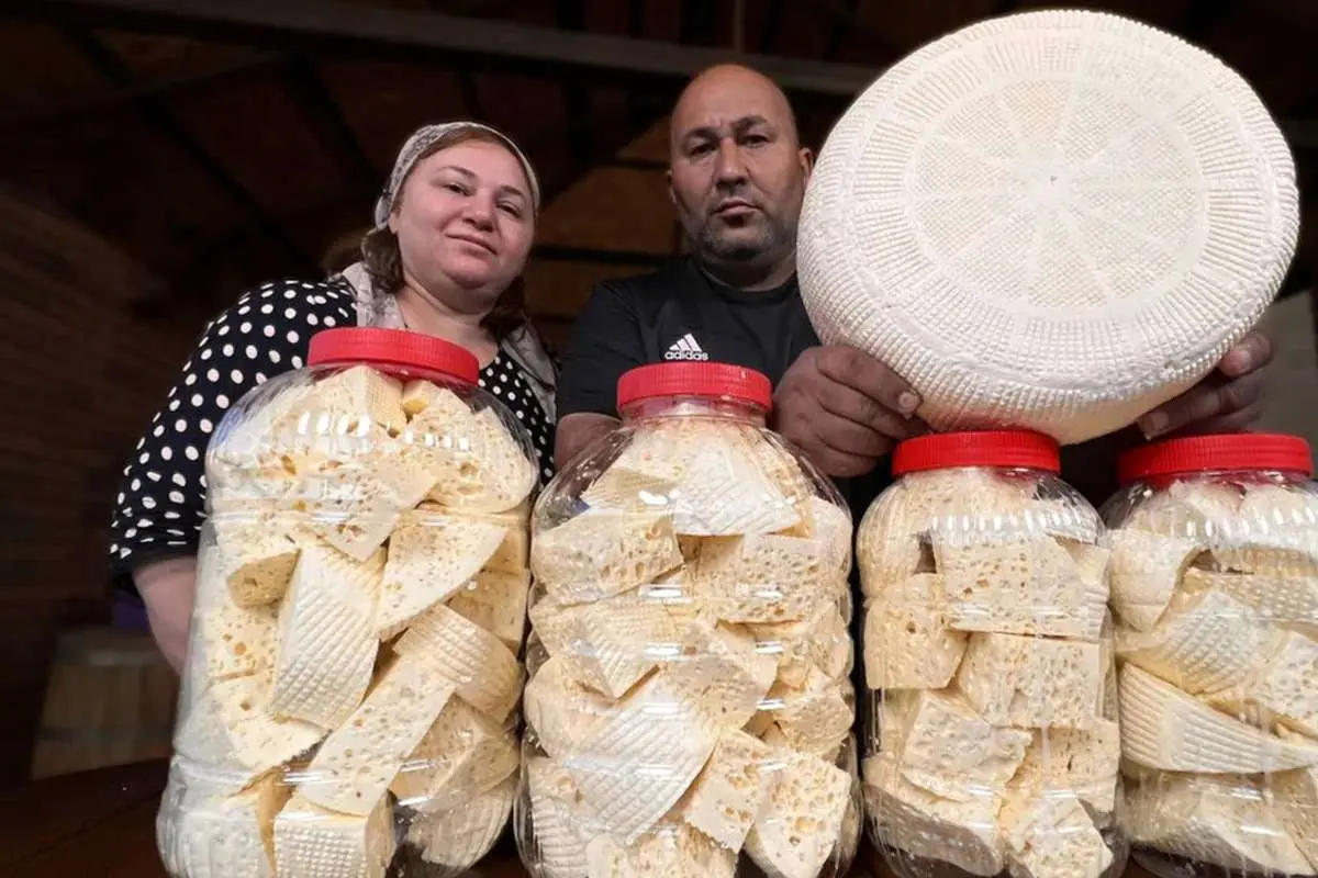 نحوه تهیه پنیر محلی خوشمزه توسط زوج مشهور داغستانی(ویدئو)