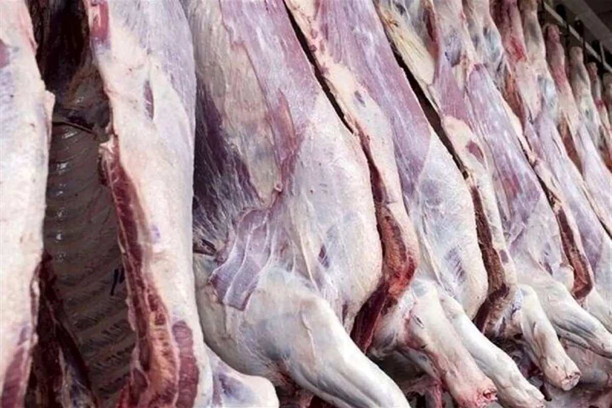 آخرین خبرها از وضعیت بازار؛ توزیع گوشت یارانهای در فروشگاهها متوقف شد؟