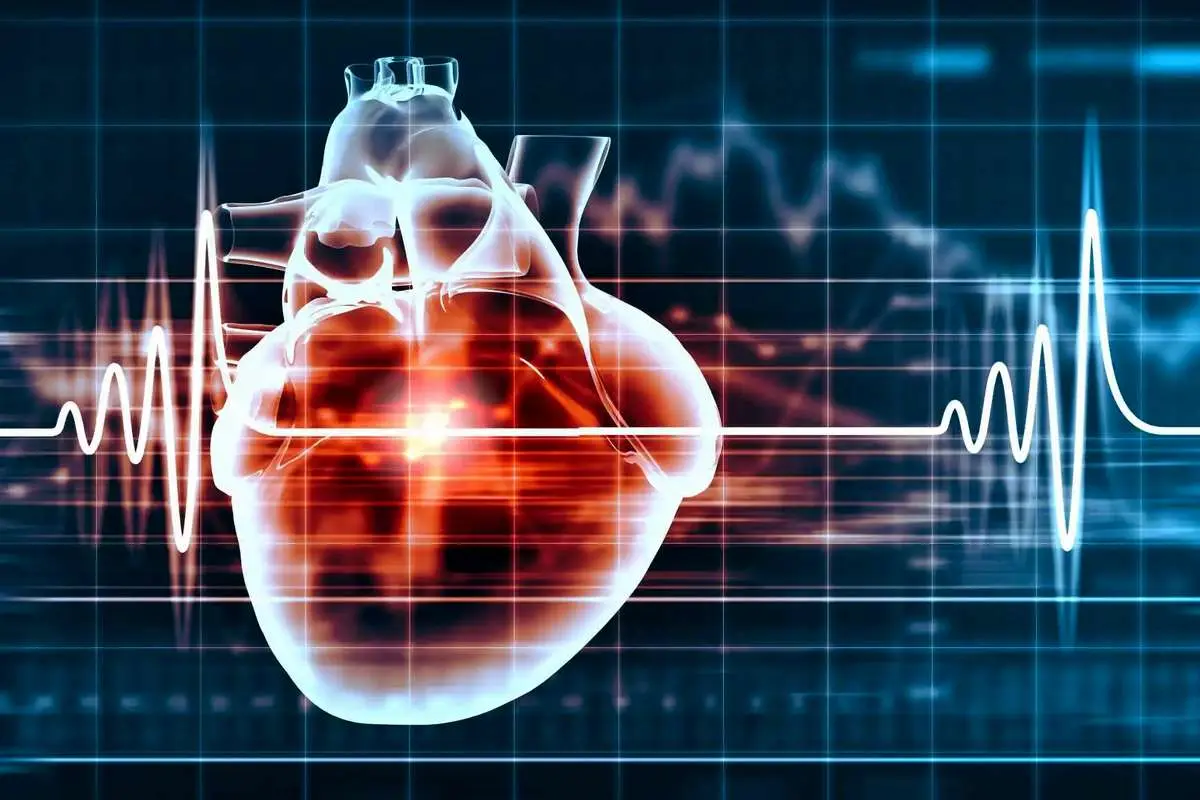 قلب سالم چند بار در دقیقه میتپد؟