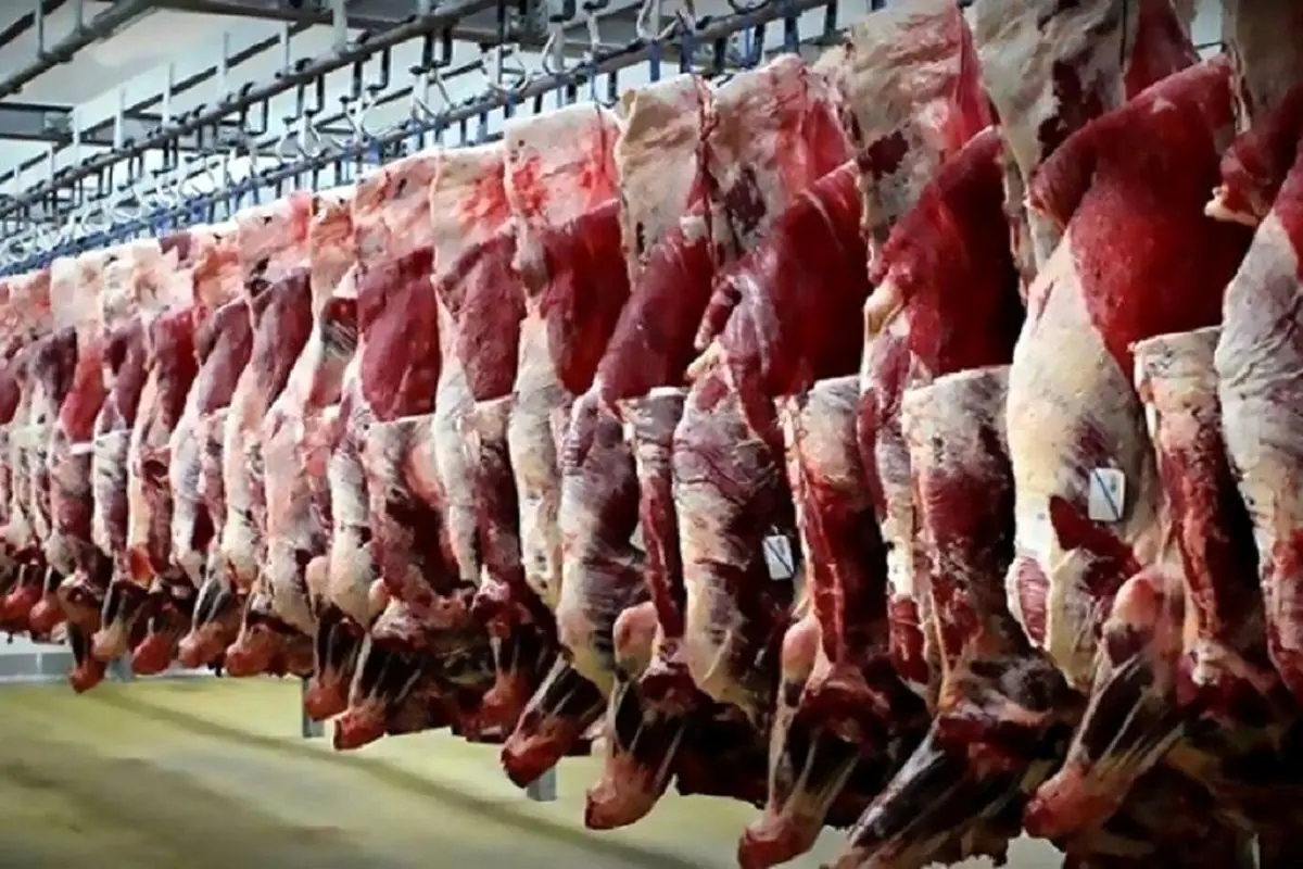 قیمت گوشت قرمز امروز ۷ آبان ۱۴۰۳