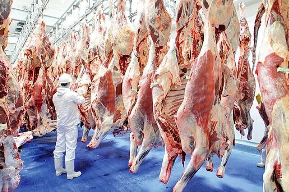 میزان تغییر قیمت گوشت؛ بازار گوشت قرمز به ثبات رسید؟