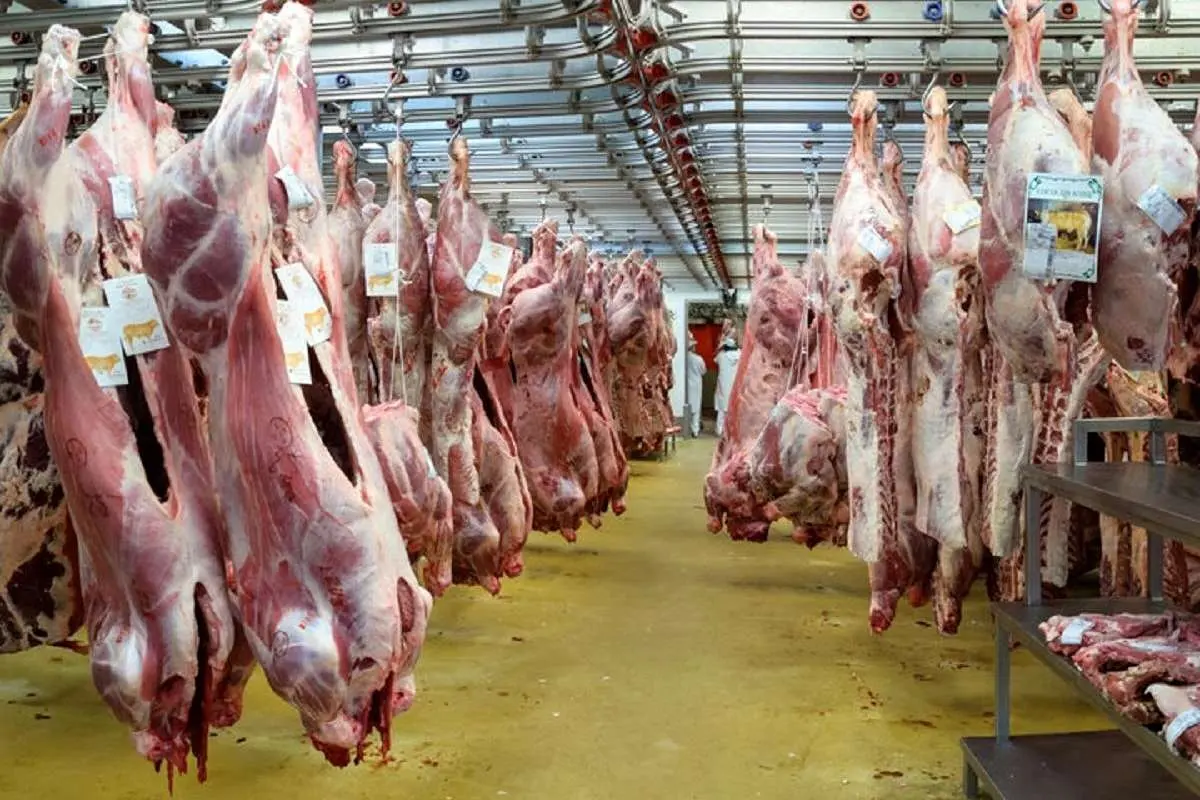 قیمت گوشت قرمز امروز ۹ آبان ۱۴۰۳