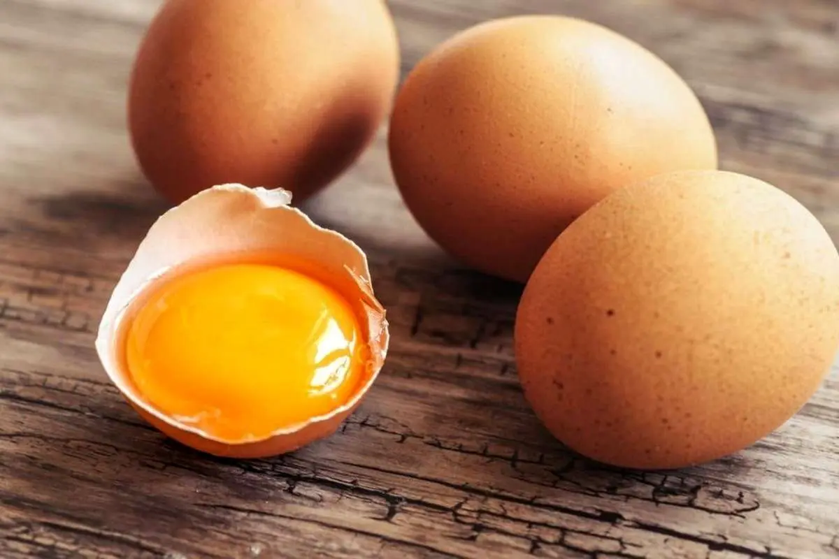 زرده تخم مرغ مفیدتر است یا سفیده آن؟