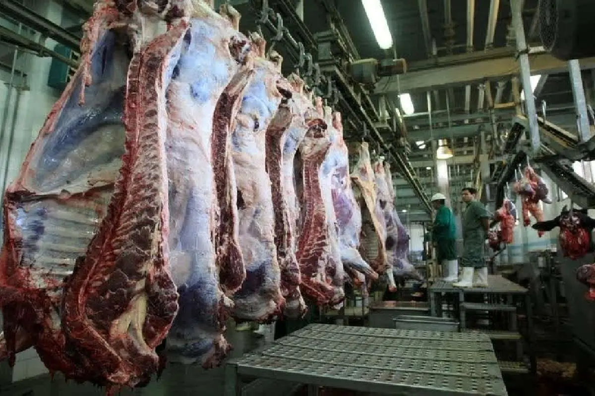 قیمت گوشت قرمز امروز ۶ آبان ۱۴۰۳؛ شایعات درباره حذف ارز ترجیحی گوشت ادامه دارد!