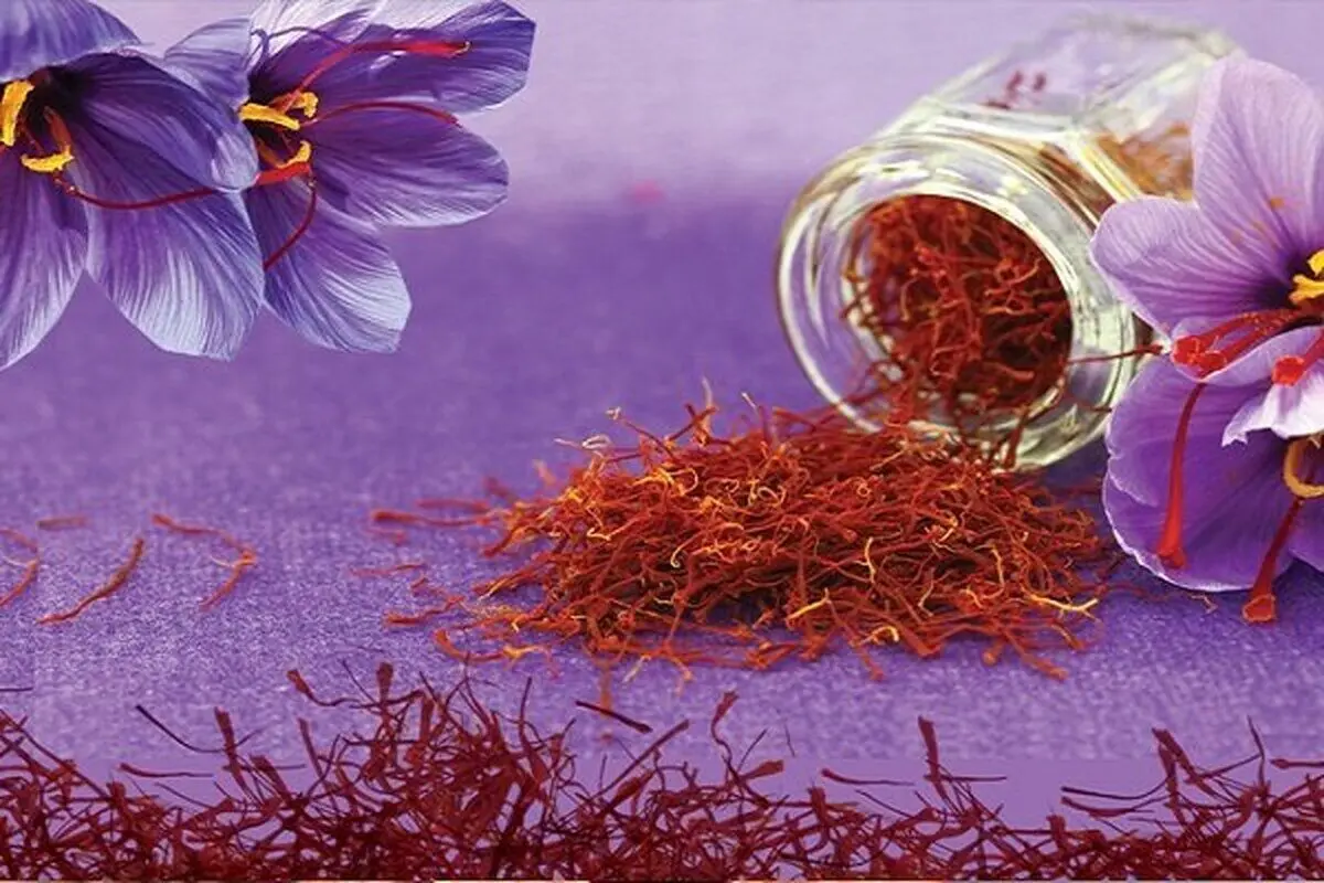 قاچاق طلای سرخ بلای جان تجارت رسمی زعفران