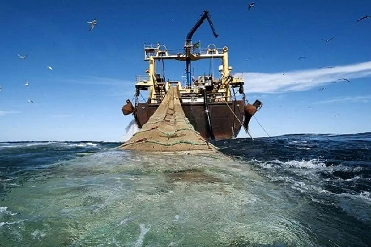 کشف «یال شیر»؛ هیولای دریایی آبهای روسیه (ویدئو)