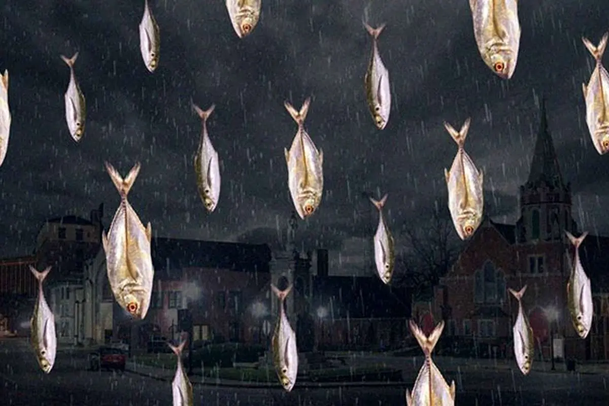 ترسناک‌ترین باران‌های عجیب جهان