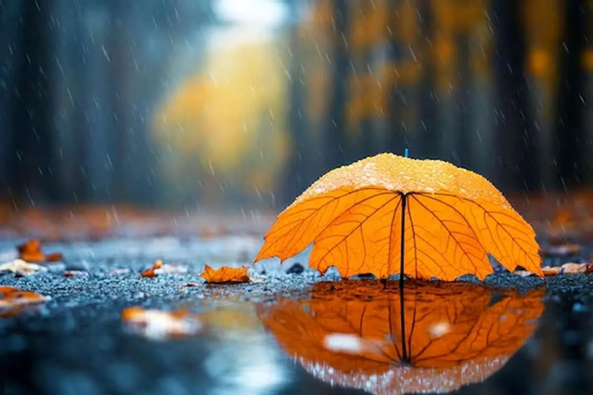 تفال به حافظ دوشنبه ۲۱ آبان ۱۴۰۳؛ چرا نه در پی عزم دیار خود باشم...