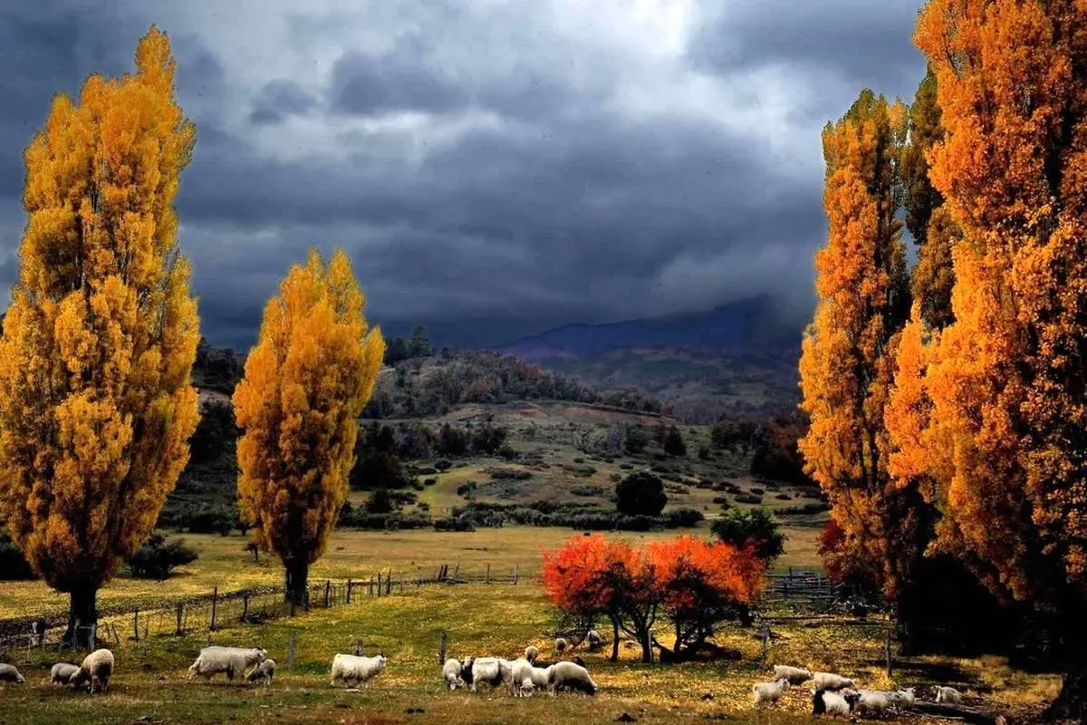 تفال به حافظ سه شنبه ۲۲ آبان ۱۴۰۳؛ خیال روی تو، چون بگذرد به گلشن چشم....