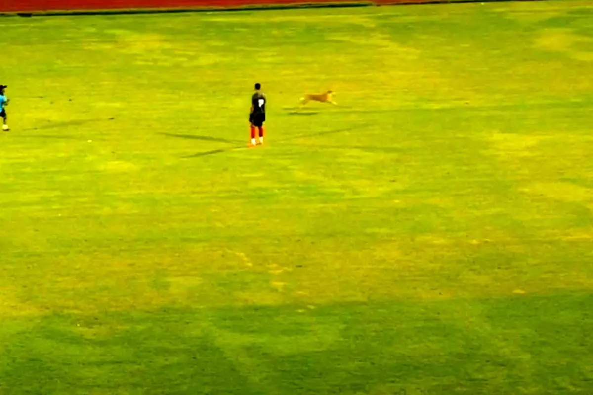 با مزه‌ترین «جیمی جامپ» دنیا در ورزشگاه بندرعباس (ویدئو)