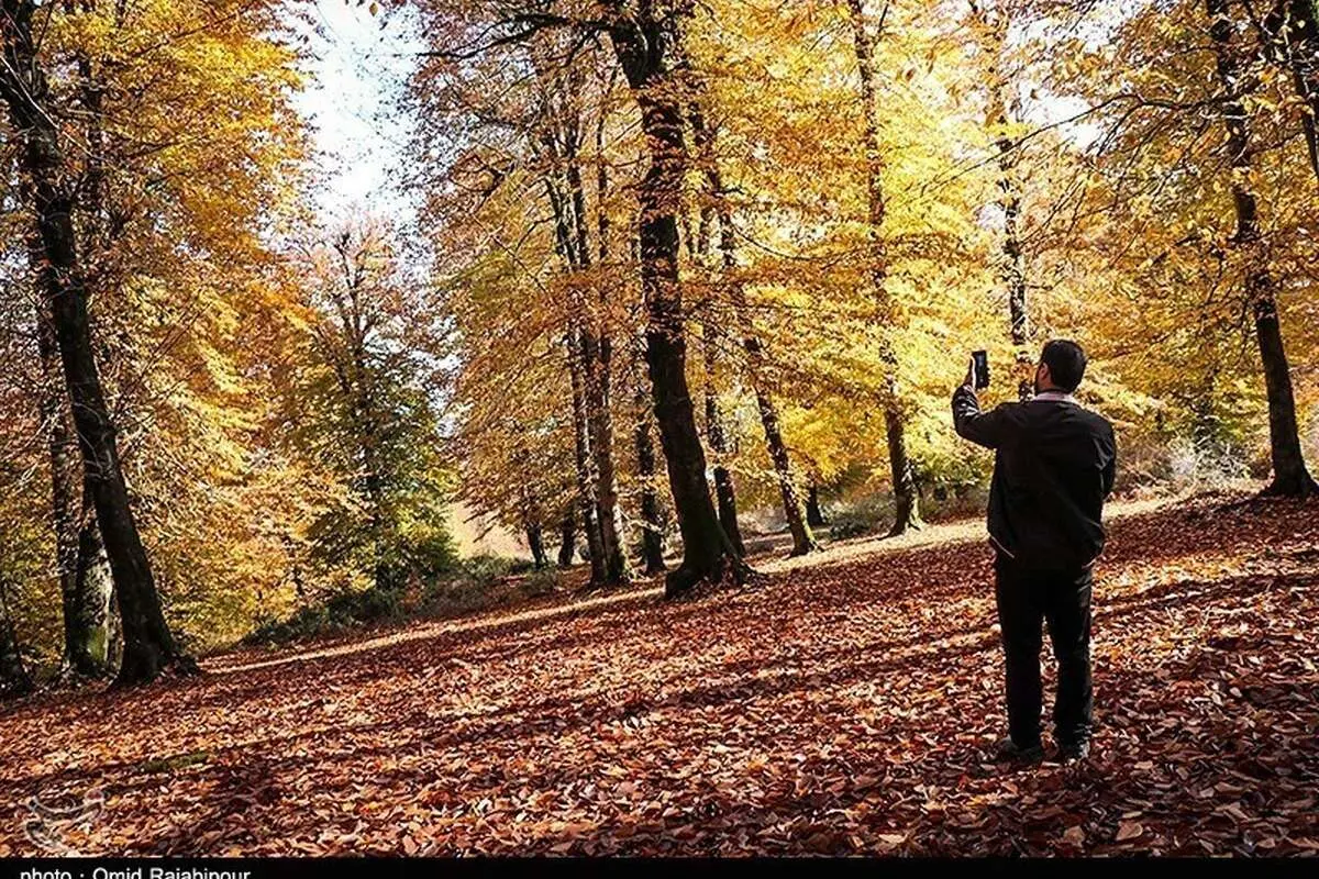 طبیعت پاییزی اشکور گیلان (تصاویر)