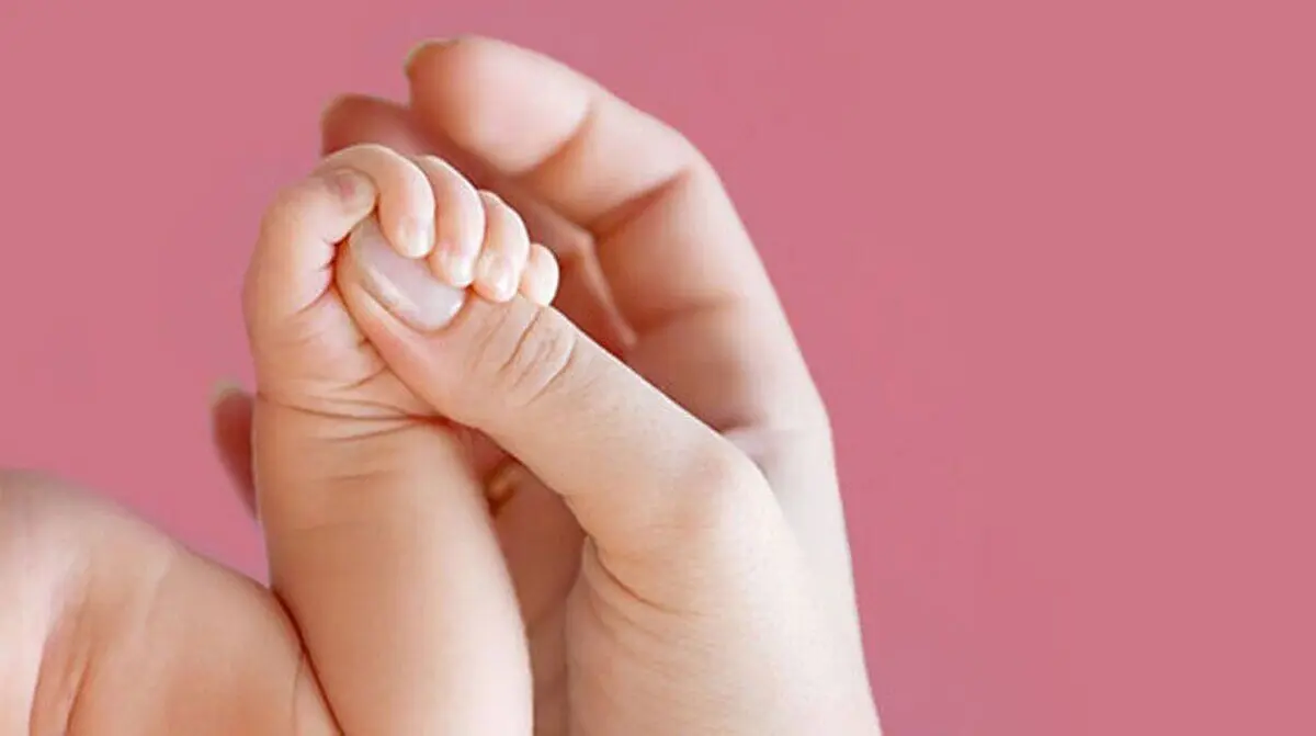 ۲۳ میلیون زن در سن باروری؛ یک سالمند از هر ۳ ایرانی