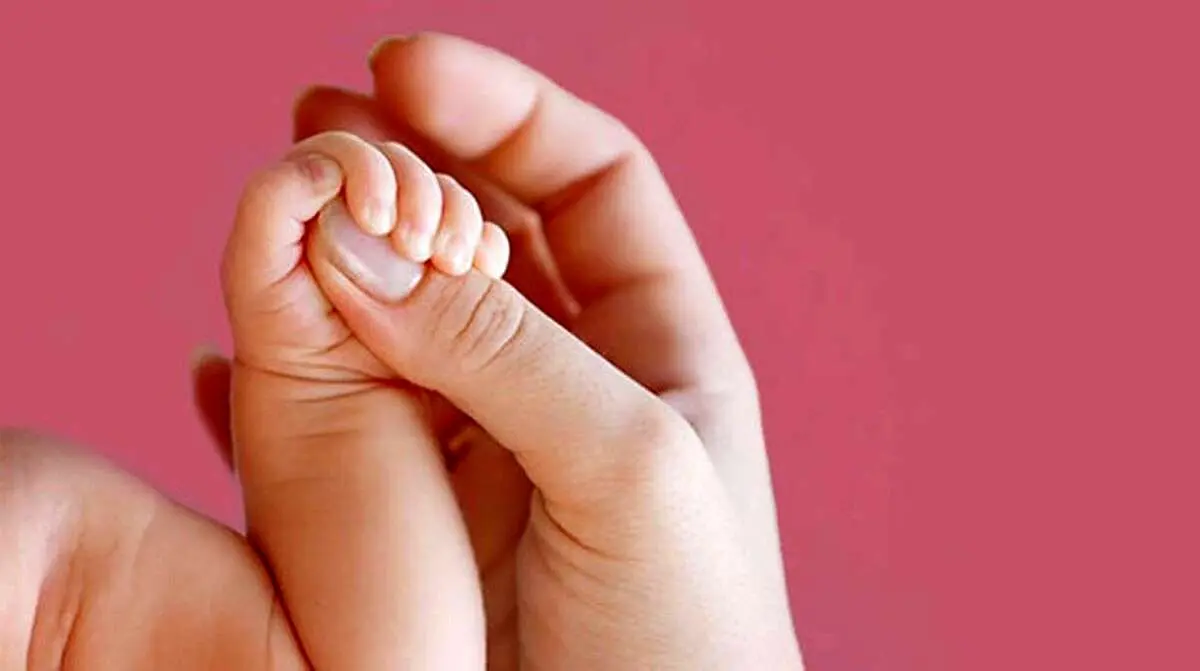 ۲۳ میلیون زن در سن باروری؛ یک سالمند از هر ۳ ایرانی