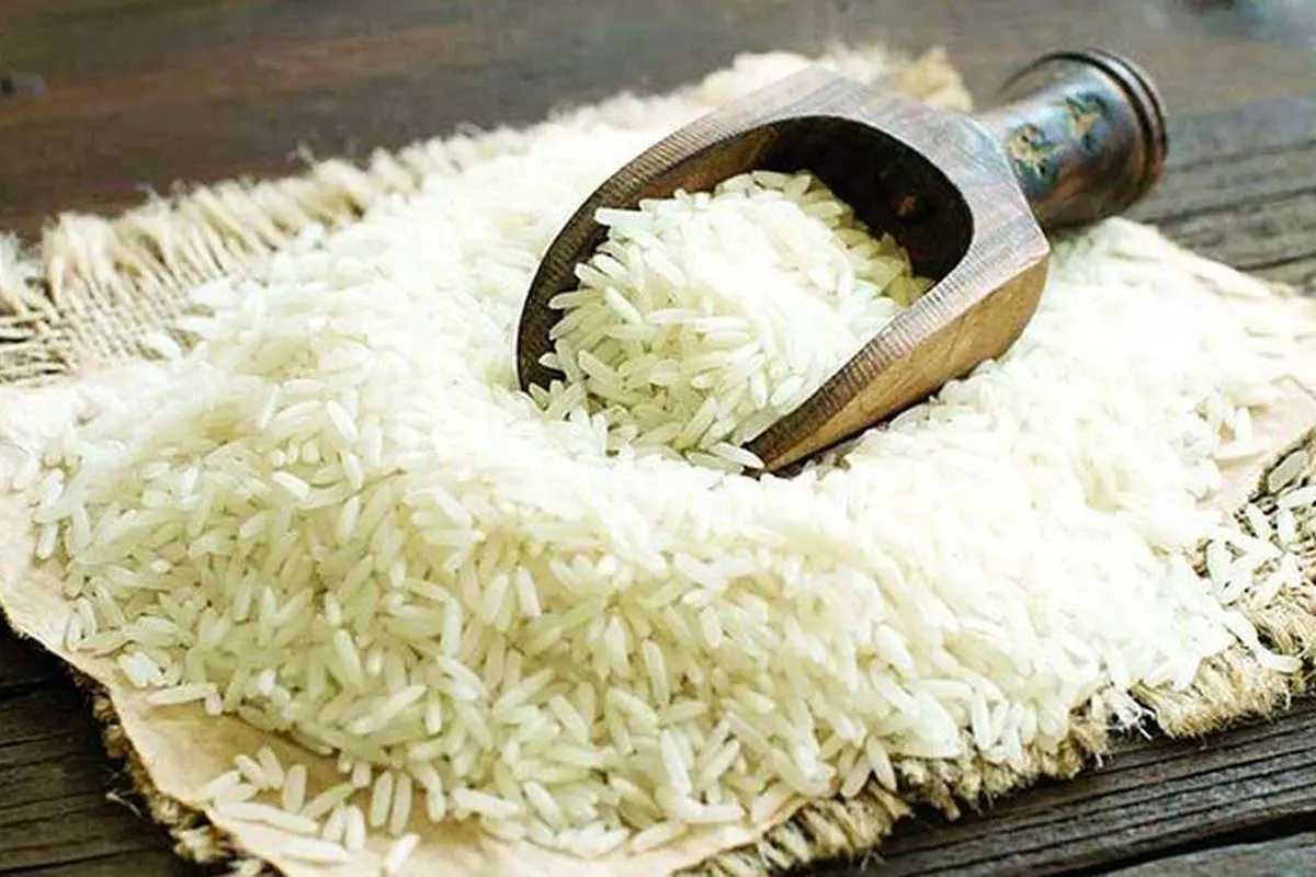 ضد آفتاب کیفیت برنج را بهبود می‌دهد