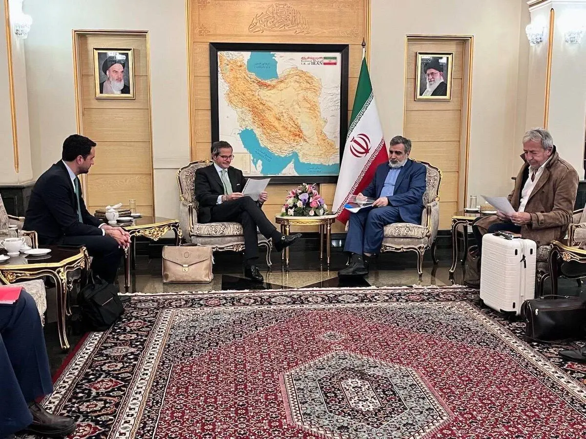«گروسی» وارد تهران شد