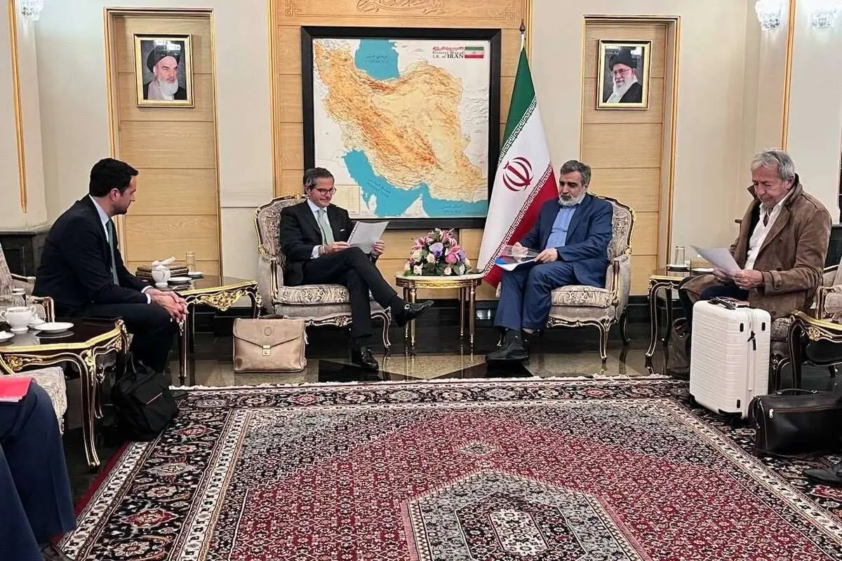 «گروسی» وارد تهران شد