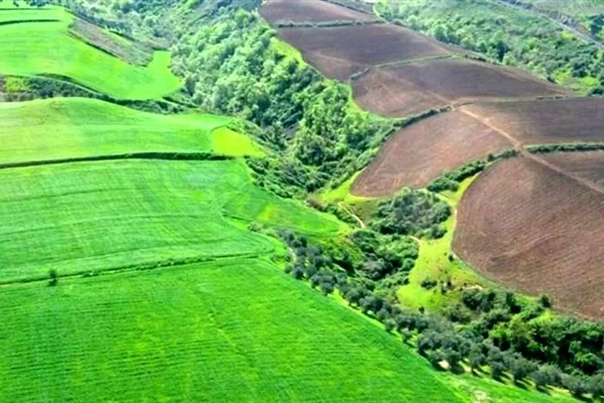 کشف زمین خواری میلیاردی در مینودشت