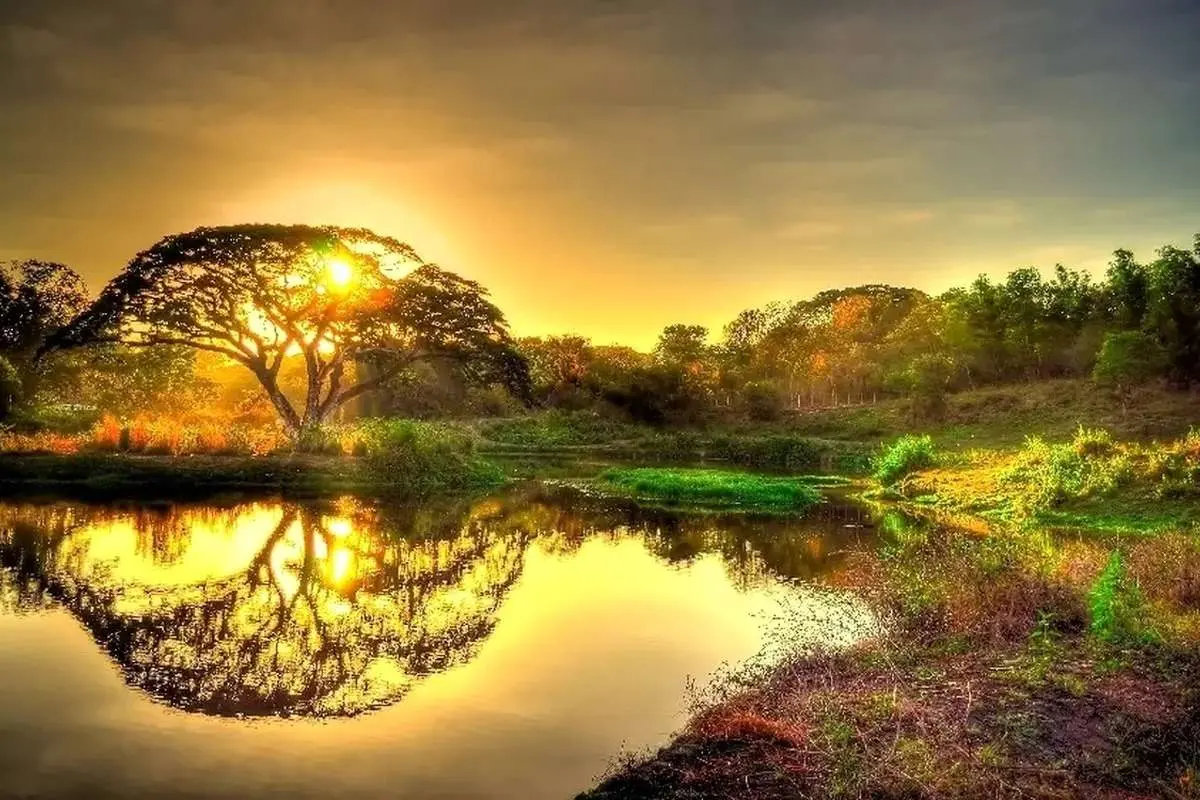 تفال به حافظ شنبه ۳ آذر ۱۴۰۳؛ به دور لاله قدح گیر و بیریا میباش....
