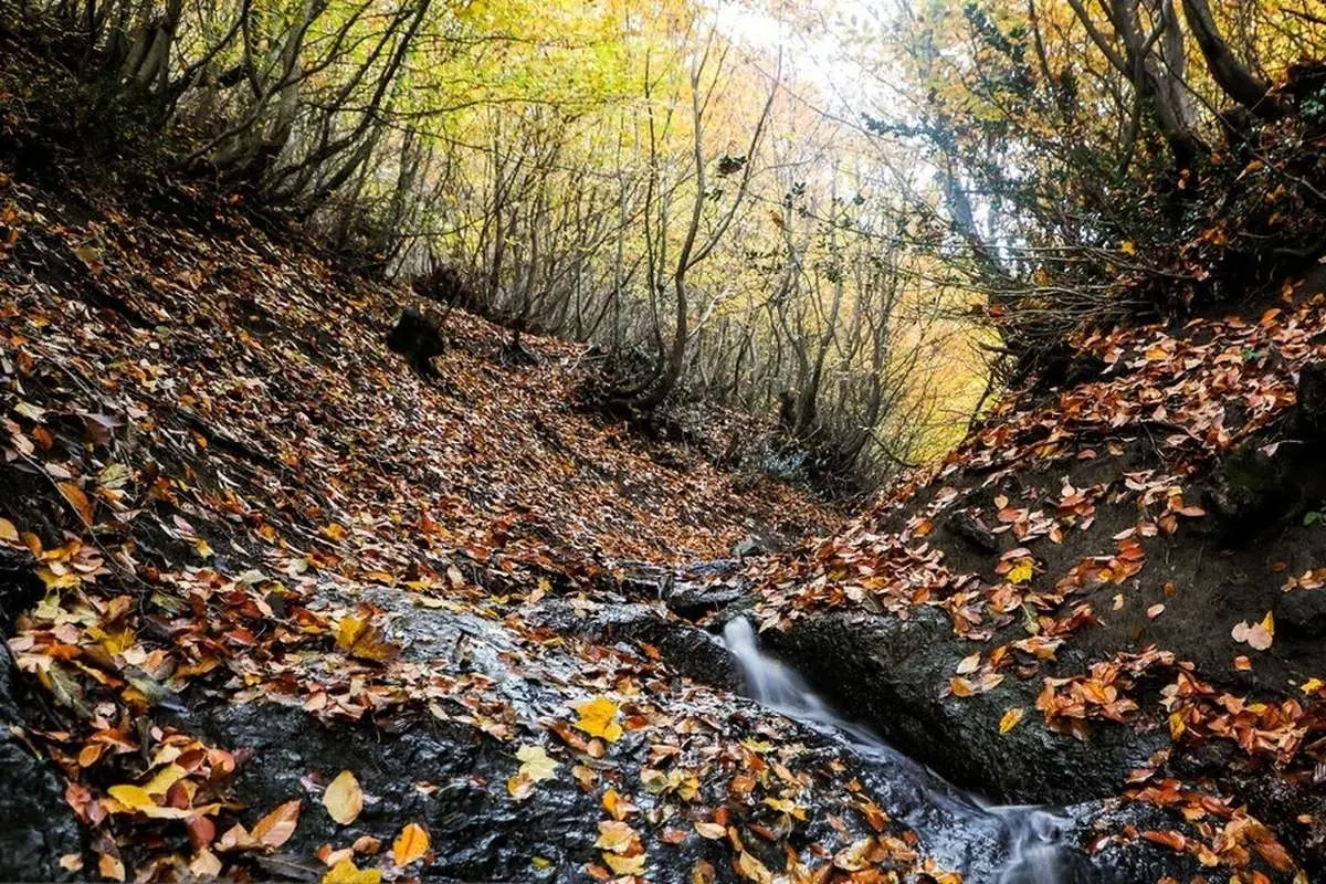 (تصاویر) زیبایی مسحورکننده گردنه حیران در پاییز