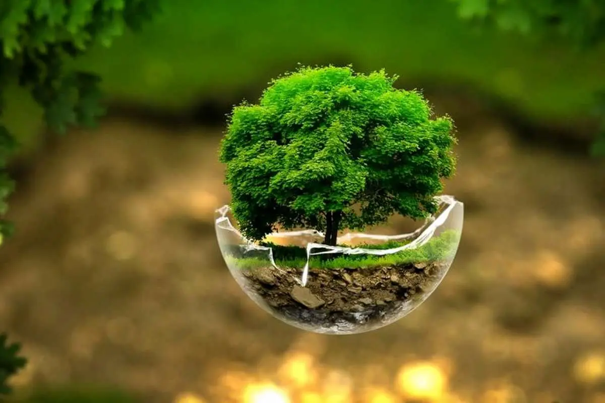 فناوری‌های سبز چینی زیر تیغ عوارض