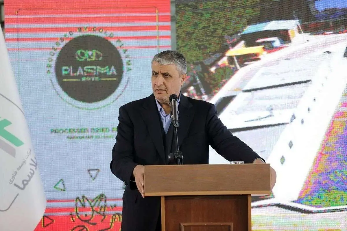 رییس سازمان انرژی اتمی: از فاز تحقیقات هستهای عبور کردهایم
