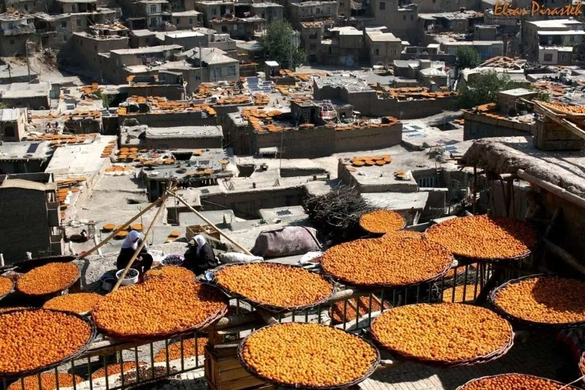 (ویدئو) پشتبامهای طلایی خانههای کاهگلی در خور خراسان