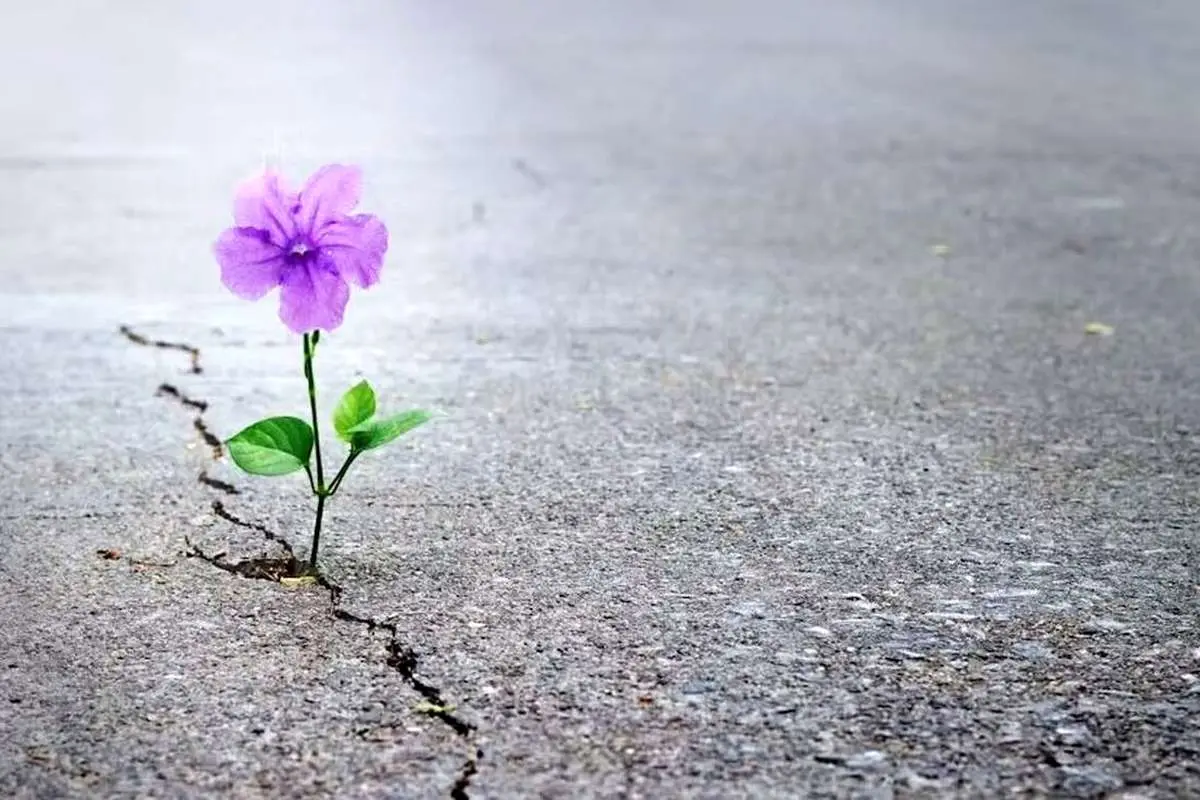 امید‌های واهی در زندگی
