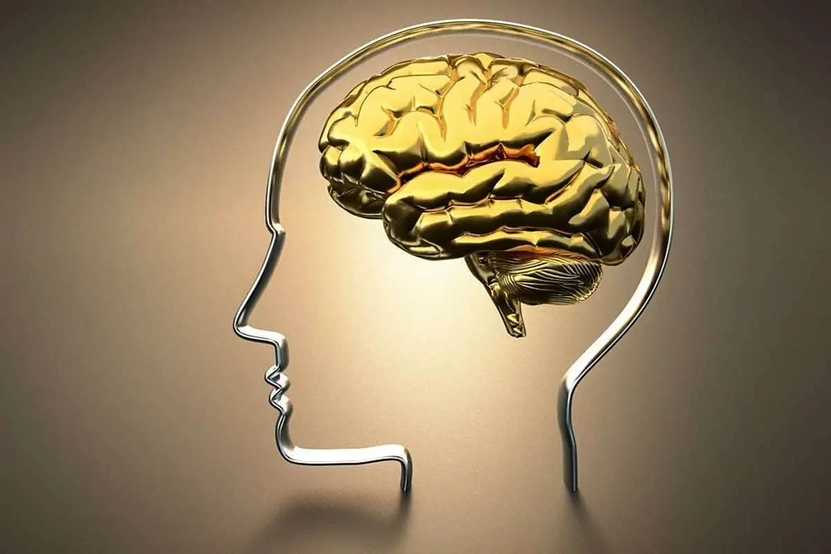 (ویدئو) مغز انسان چگونه تجدید خاطرات میکند؟