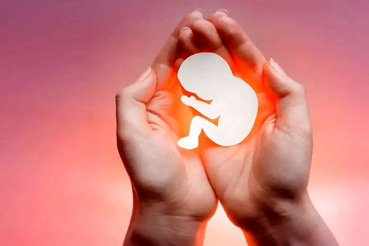 (ویدیو) سقط جنین از مافیا گذشته و به صنعت تبدیل شده