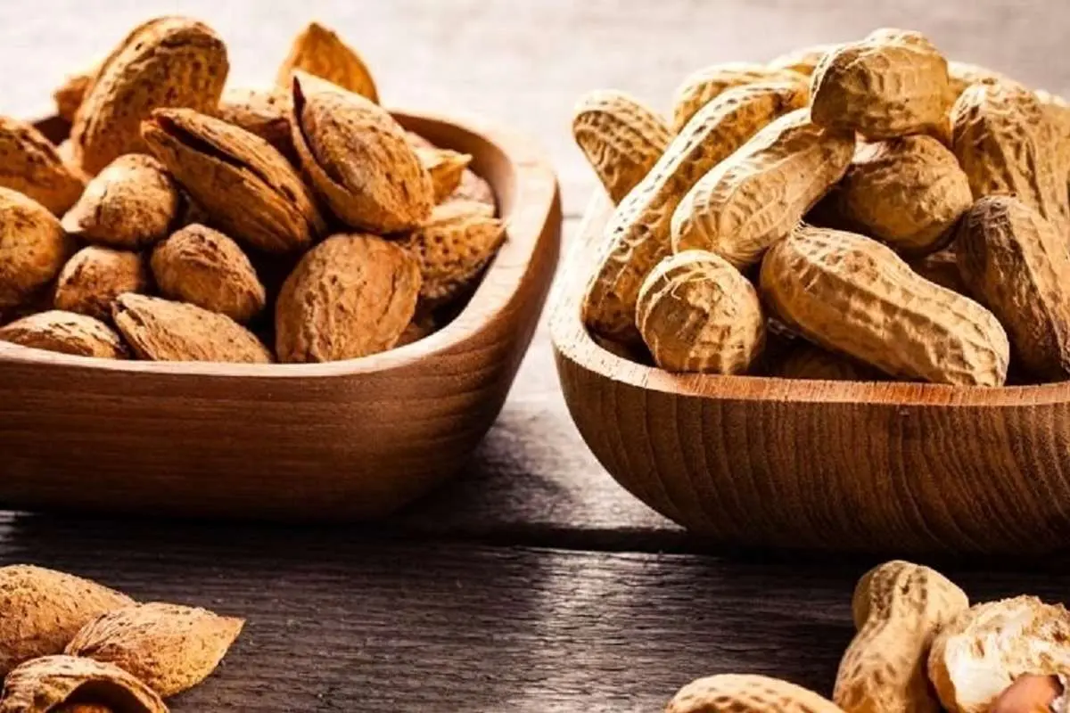 بادام یا بادام زمینی: کدام پروتئین بیشتری دارد؟