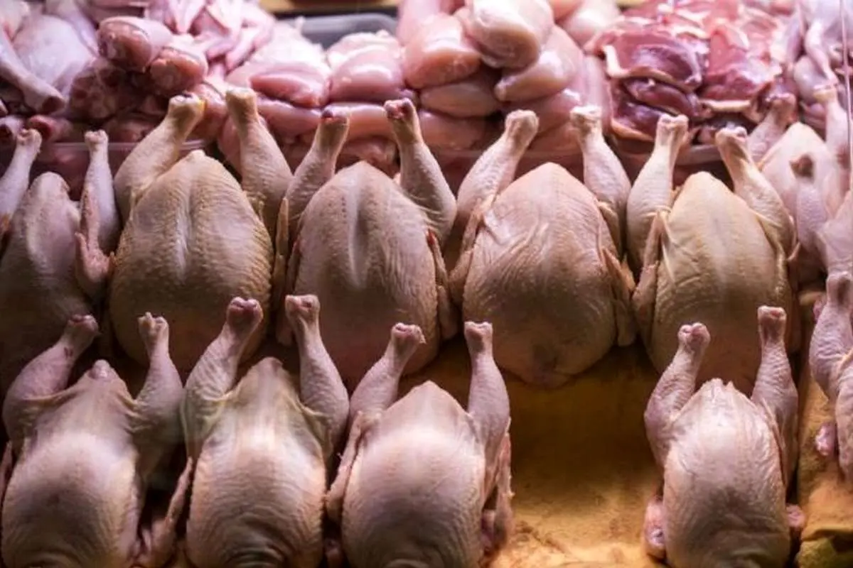 قیمت انواع گوشت مرغ امروز ۱۱ آذر ۱۴۰۳