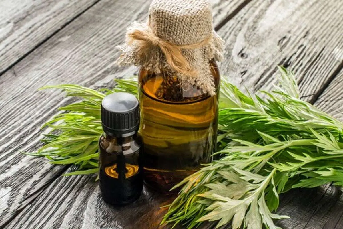از روغن خر تا روغن خراطین؛ این روغنها مفید هستند؟