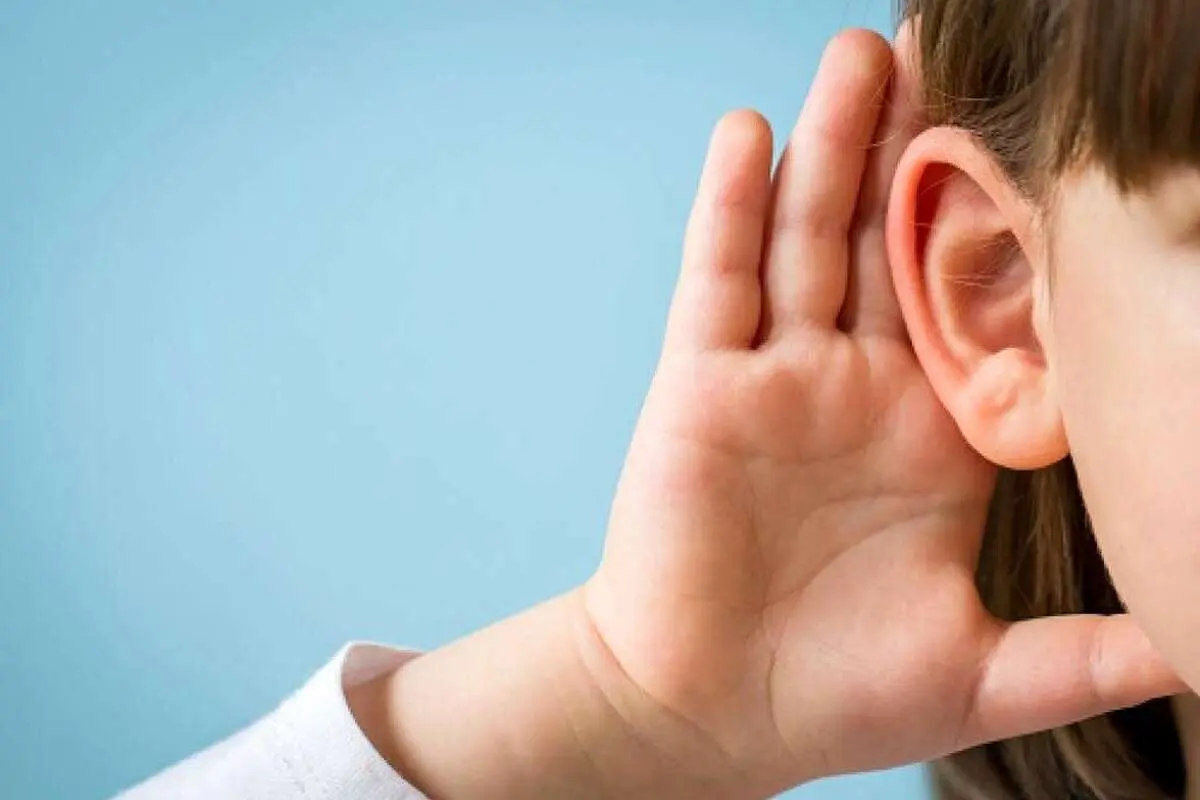 خوراکی های مفید برای وزوز گوش