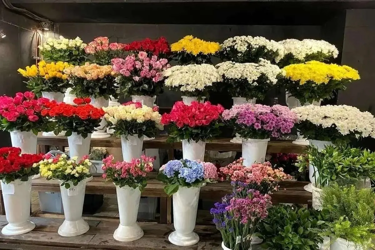 (ویدئو) گران قیمتترین گل دنیا